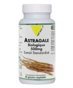 Astragale 500mg - extrait standardisé BIO, 60 gélules